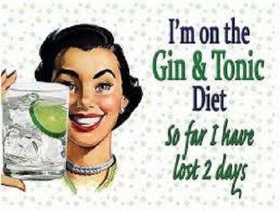 Gin Diet